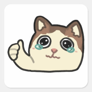 Duimen omhoog Huilende kat Vierkante Sticker
