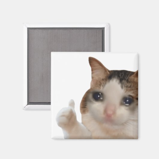 Duimen omhoog OK Cat meme magneet (Voorkant / Achterkant)