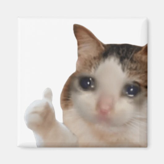 Duimen omhoog OK Cat meme magneet (Voorkant)