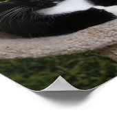 Duimt omhoog poster (Hoek)