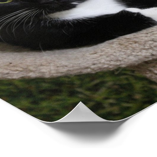 Duimt omhoog poster (Hoek)