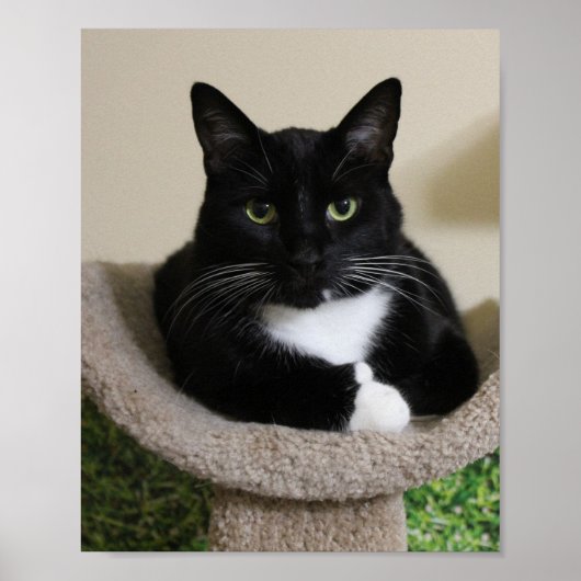 Duimt omhoog poster (Voorkant)