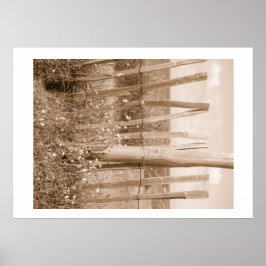 duin poster