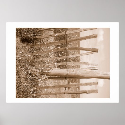 duin poster (Voorkant)