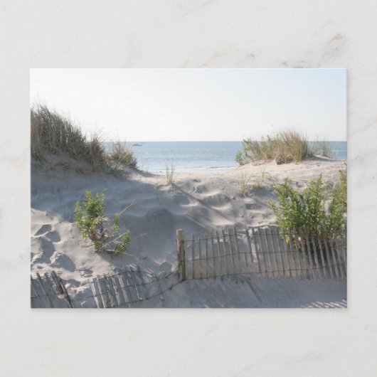 Duinen ansichtkaart briefkaart (Voorkant)