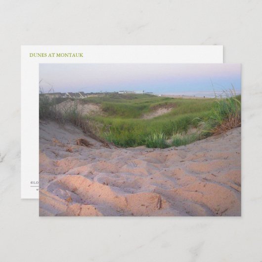 Duinen in Montauk Briefkaart (Voorkant / Achterkant)