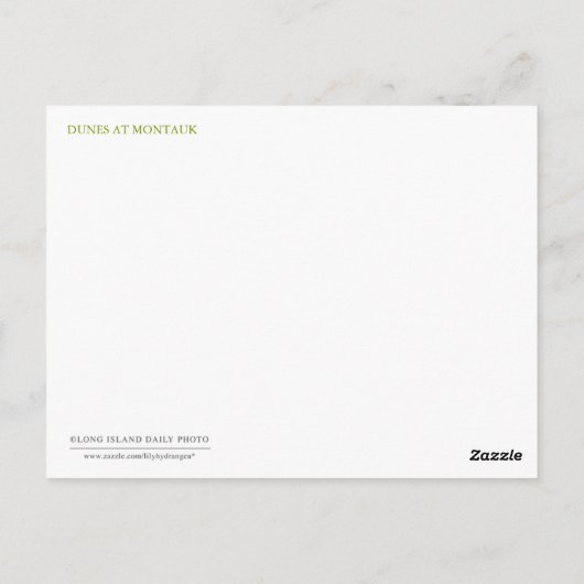 Duinen in Montauk Briefkaart (Achterkant)