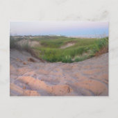 Duinen in Montauk Briefkaart (Voorkant)