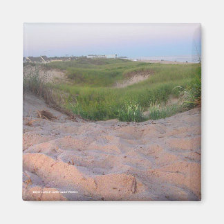 Duinen in Montauk Magneet