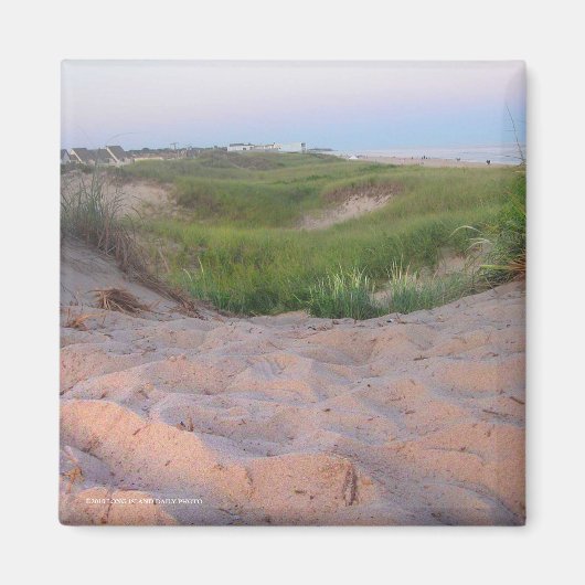 Duinen in Montauk Magneet (Voorkant)