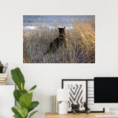 Duinen Kitty Poster (Thuiskantoor)
