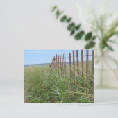 Duinen van Cape Cod Briefkaart (Staand voorkant)