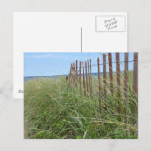 Duinen van Cape Cod Briefkaart (Voorkant / Achterkant)