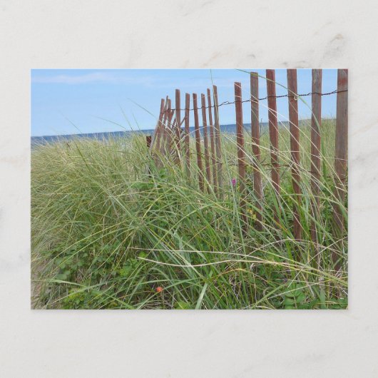 Duinen van Cape Cod Briefkaart (Voorkant)
