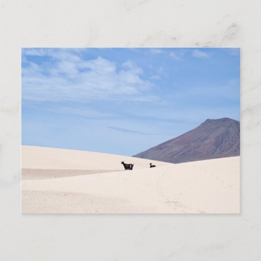Duinen van Corralejo, Fuerteventura, Canarische ei Briefkaart (Voorkant)
