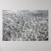 Duinen van het Witte Zand Poster (Voorkant)