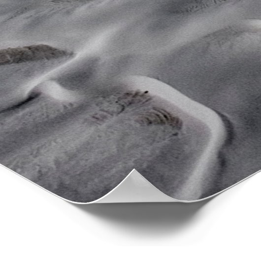 Duinen van het Witte Zand Poster (Hoek)