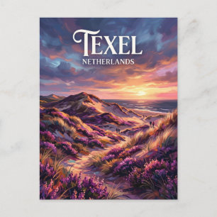 Duinen van Texel Nationaal Park Nederland Briefkaart