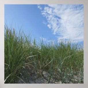 duinen, zand poster