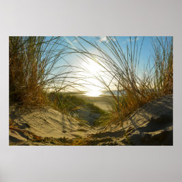Duingras en zee - poster