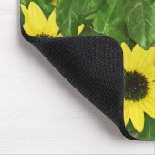 Duinzonnebloem Muismat (Hoek)