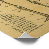  Duits Anatomy Print Skeleton (Hoek)