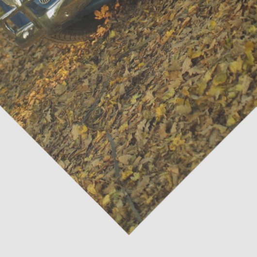  duits autotissuepapier tissuepapier (Detail)