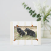 Duits Briefkaart Shepherd (Staand voorkant)