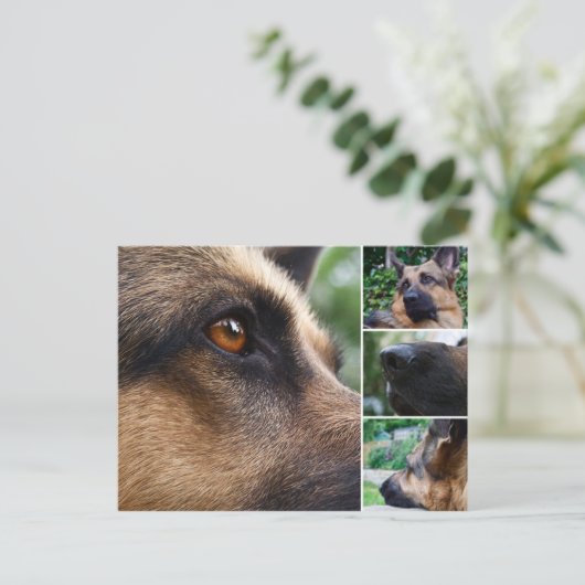 Duits Briefkaart Shepherd (Staand voorkant)