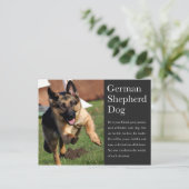 Duits Briefkaart Shepherd (Staand voorkant)