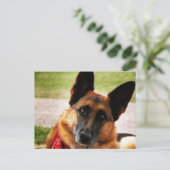 Duits Briefkaart Shepherd (Staand voorkant)