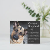 Duits Briefkaart Shepherd (Staand voorkant)