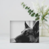 Duits Briefkaart Shepherd (Staand voorkant)
