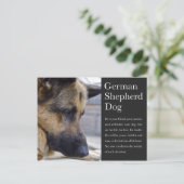 Duits Briefkaart Shepherd (Staand voorkant)