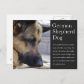 Duits Briefkaart Shepherd (Voorkant / Achterkant)