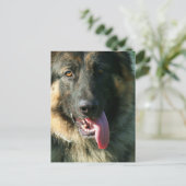 Duits briefkaart Shepherd (Staand voorkant)