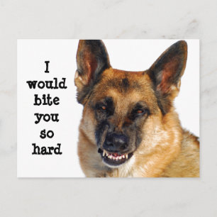Duits Briefkaart Shepherd