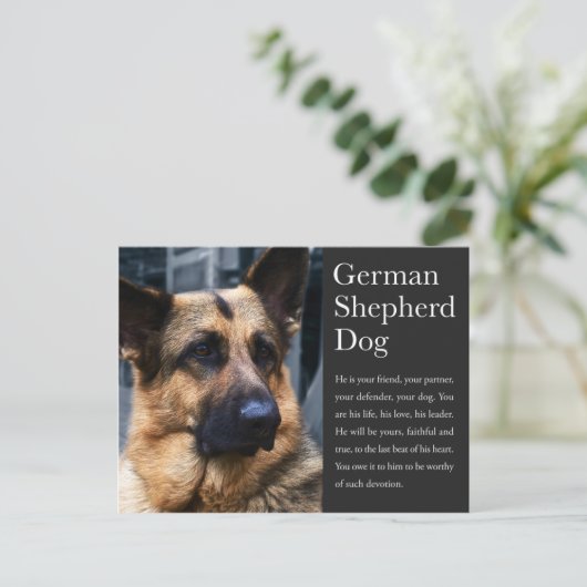 Duits Briefkaart Shepherd (Staand voorkant)