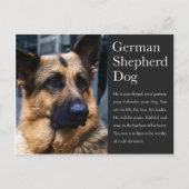 Duits Briefkaart Shepherd (Voorkant)