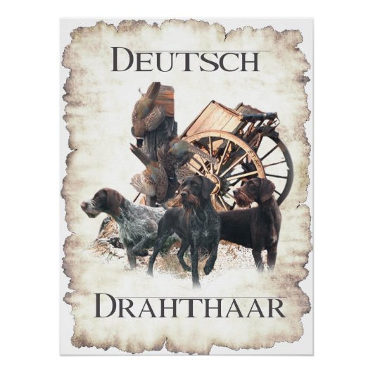 Duits Draadharige Pointer Sockel Bord Bad Handdoek Perfect Poster (Voorkant)