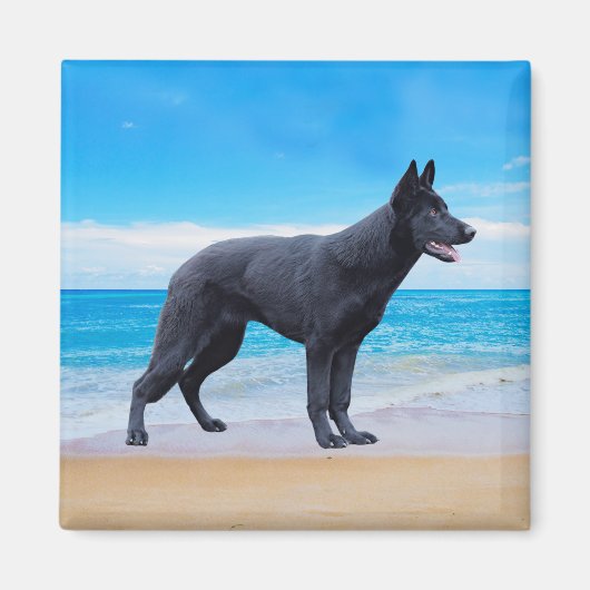 Duits herder hond strand portret magneet (Voorkant)