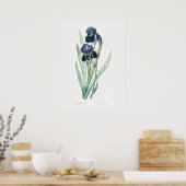 Duits Iris, Retro Botanical Poster (Keuken)