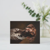 Duits Kortharig Pointer Portret Briefkaart (Staand voorkant)