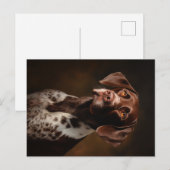 Duits Kortharig Pointer Portret Briefkaart (Voorkant / Achterkant)