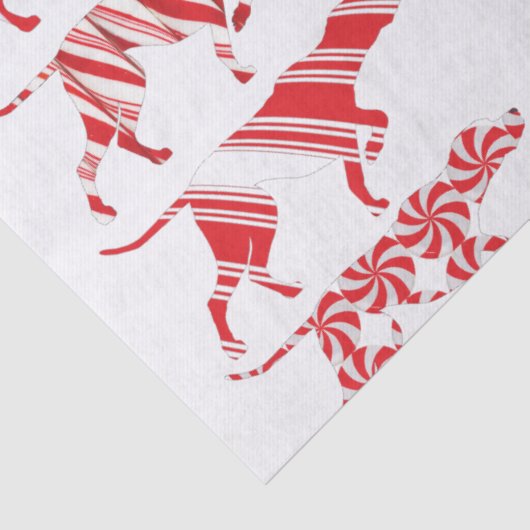 DUITS KORTHARIG POINTER - tissuepapier - SAP (Detail)