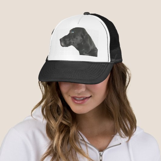 duits kortharige pointer zwart trucker pet (In situ)