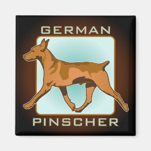 Duits Pinscher Badge, vierkant Magneet