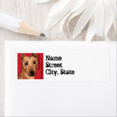 Duits Pinscher Color Block Etiket (Insitu)