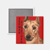 Duits Pinscher Color Block Magneet (Voorkant / Achterkant)