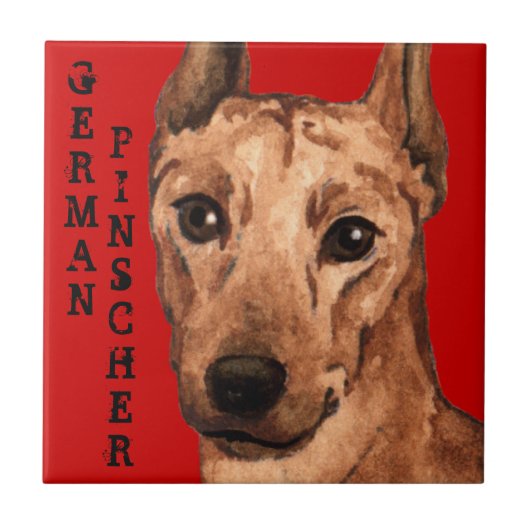 Duits Pinscher Color Block Tegeltje (Voorkant)